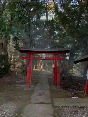 日枝大神の鳥居