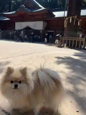 穂高神社本宮(長野県)