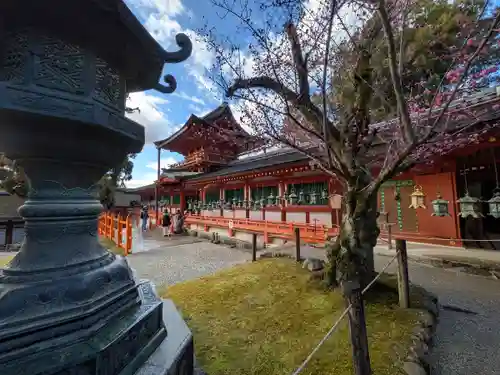 春日大社(奈良県)