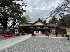 富士山本宮浅間大社(静岡県)