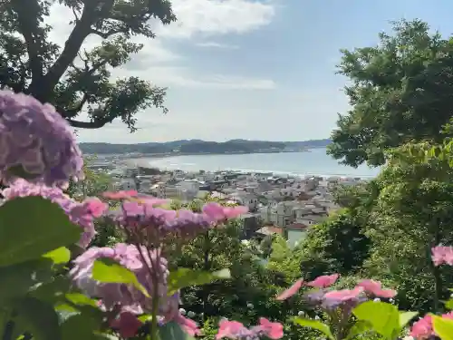 長谷寺(神奈川県)