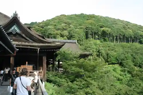 清水寺の本殿・本堂