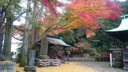 温泉神社〜いわき湯本温泉〜の自然