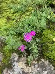 福田寺の自然