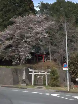 日枝神社の鳥居
