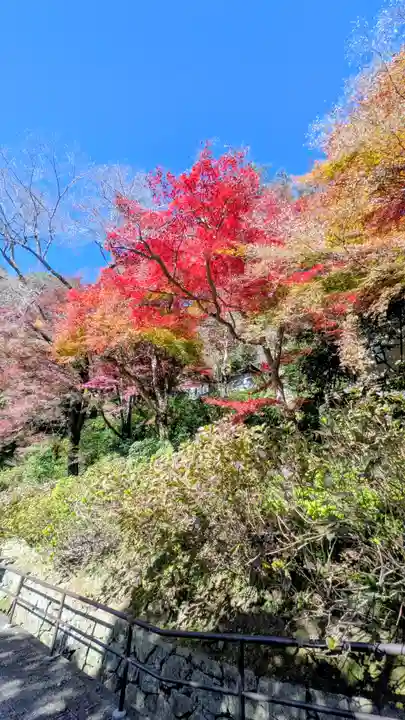 長谷寺(奈良県)