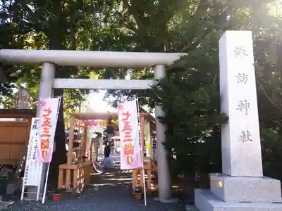 札幌諏訪神社の七五三参