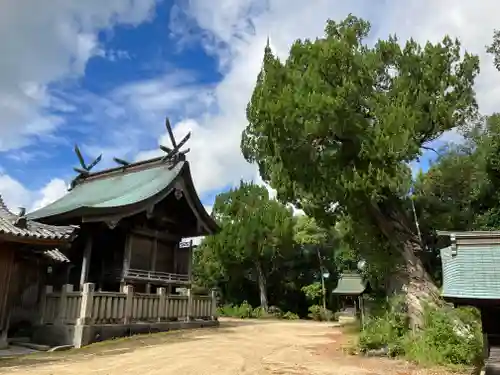 亀山八幡宮の本殿