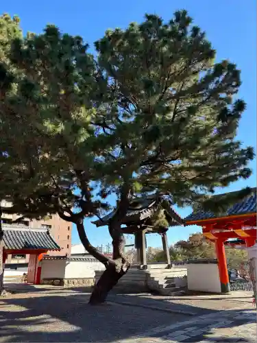 鴨江寺(静岡県)
