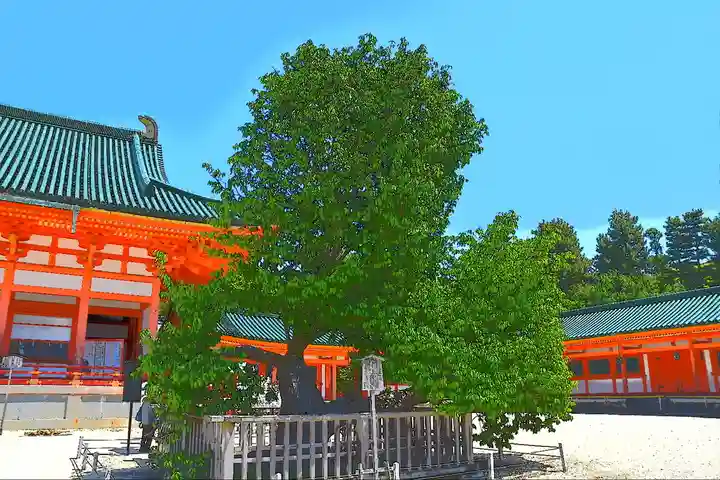 平安神宮の自然