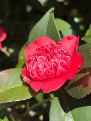 城南宮(京都府)