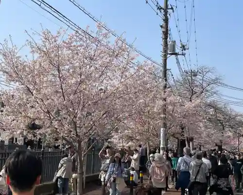 弘明寺の{uncategorized: "未分類", other: "その他", undefined: "問題あり", building: "その他建物", grave: "お墓", sacred_gate: "鳥居", guardian: "狛犬", statue: "像", buddha: "仏像", history: "歴史", nature: "自然", garden: "庭園", animal: "動物", pagoda: "塔", temizu: "手水舎", mountain_gate: "山門・神門", sanctuary: "本殿・本堂", subordinate: "末社・摂社", art: "芸術", scenery: "景色", jizo: "地蔵", ema: "絵馬", goshuin: "御朱印", omikuji: "おみくじ", items: "授与品その他", amulet: "お守り", goshuincho: "御朱印帳", eats: "食事", festival: "お祭り", votive_dance: "神楽", shichigosan: "七五三参", wedding: "結婚式", experience: "体験その他", initially: "初詣", around: "周辺", anti_infection: "感染症対策"}