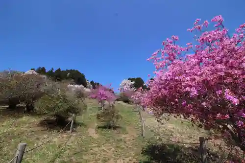 宝登山神社奥宮(埼玉県)