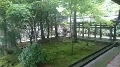 龍安寺(京都府)