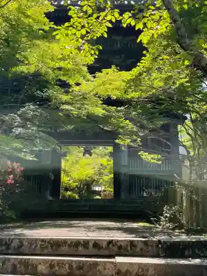 松尾寺の山門・神門