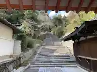 矢田寺(奈良県)