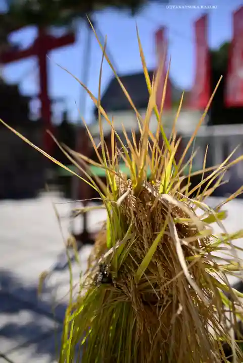 東京羽田 穴守稲荷神社(東京都)
