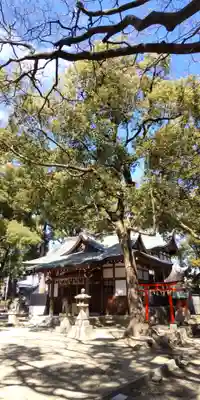 長島住吉神社(大阪府)