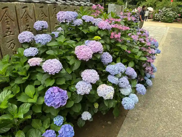 潮明寺(徳島県)
