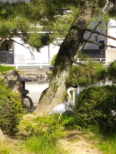 備中国總社(岡山県)