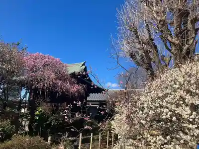 五條天神社(東京都)