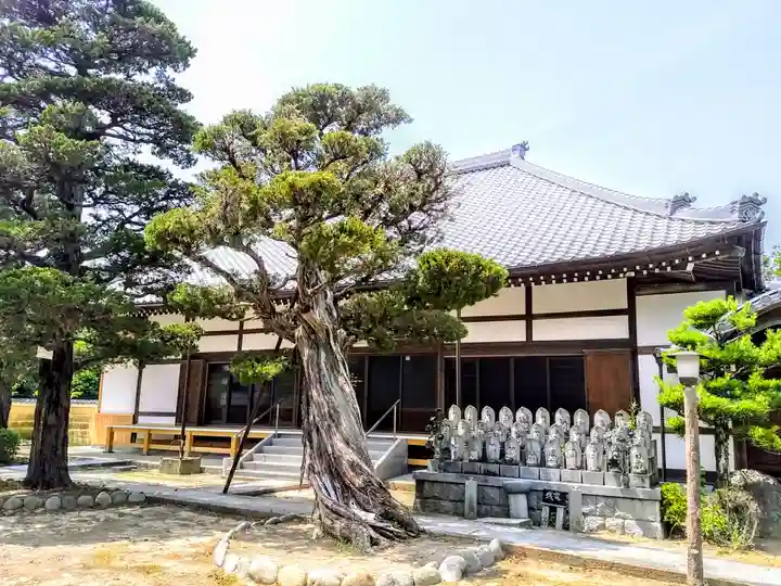 普明院の本殿・本堂