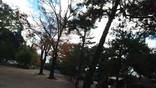 北野天満宮の自然