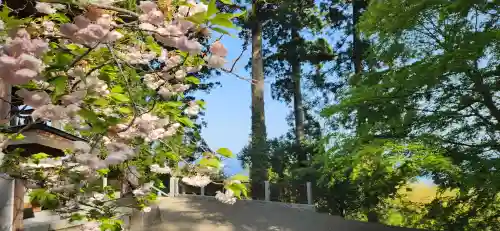 大島神社(宮城県)