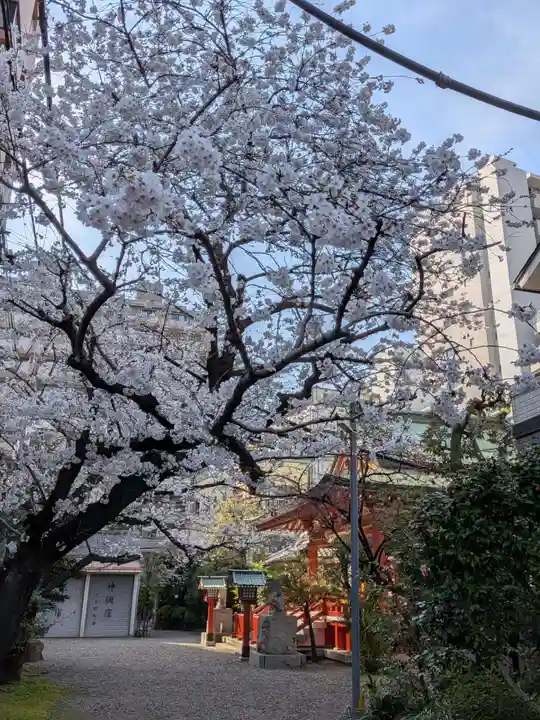 秋葉神社(東京都)
