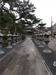 誕生寺の建物その他