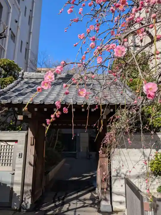 長円寺(東京都)