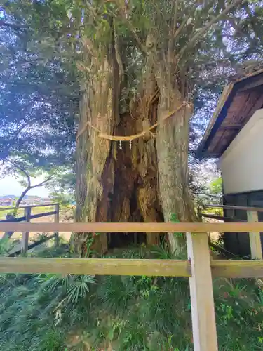 龍泉寺（稲岡観音堂）(栃木県)