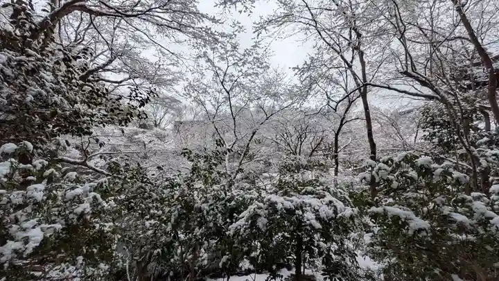 圓光寺(京都府)