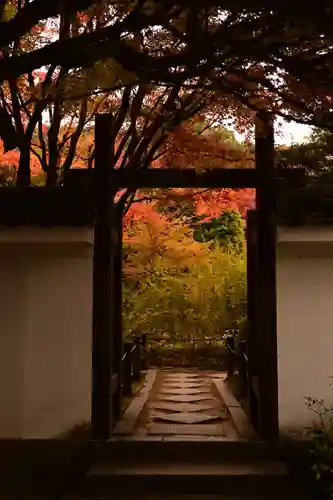 天授庵(京都府)