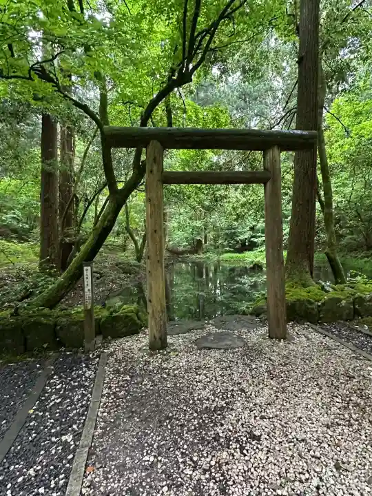 平泉寺白山神社(福井県)