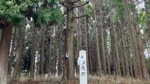 美和神社の自然