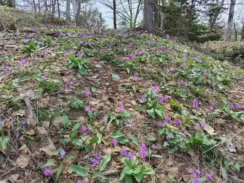 稲荷神社(北海道)