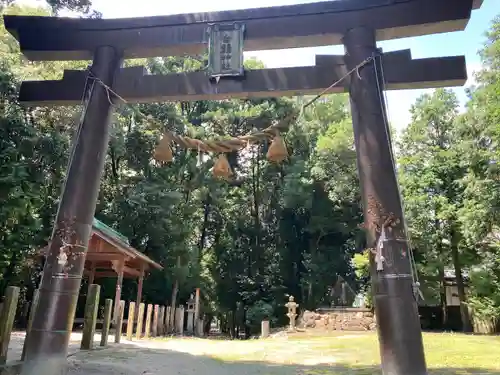 土田白鬚神社の鳥居