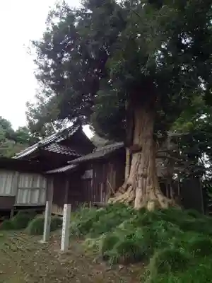 神田山延命院の自然