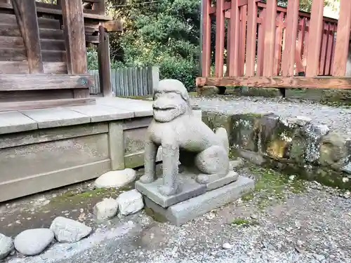 板倉雷電神社の狛犬
