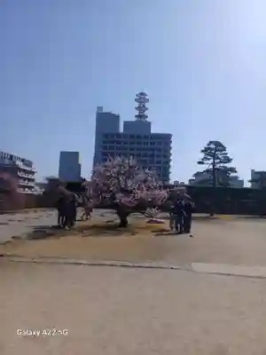 廣島護國神社(広島県)