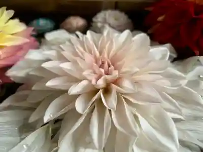 滑川神社 - 仕事と子どもの守り神の手水舎