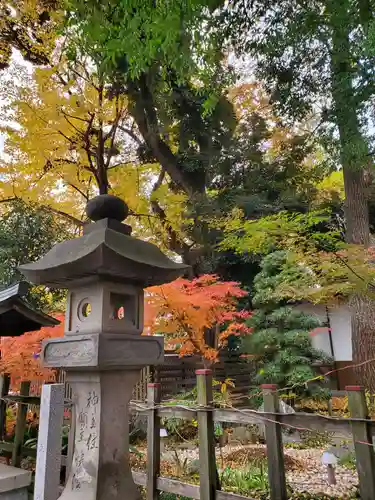 調神社の庭園