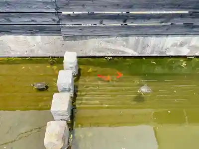 嚴島神社(千葉県)