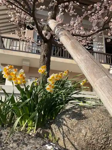 正眼寺(愛知県)