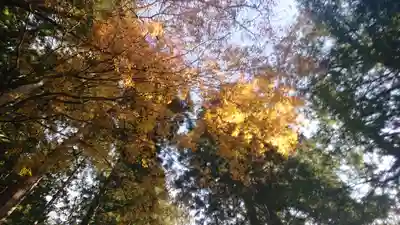 東金砂神社(茨城県)