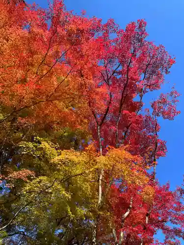 来迎院(京都府)