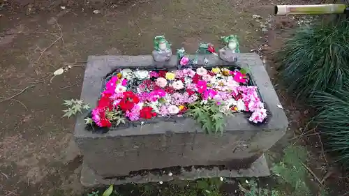 馬場氷川神社の手水