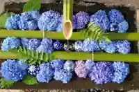 差出磯大嶽山神社 仕事と健康と厄よけの神さまの手水舎