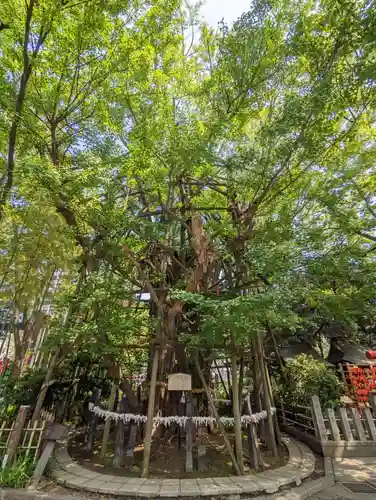 稲毛神社(神奈川県)